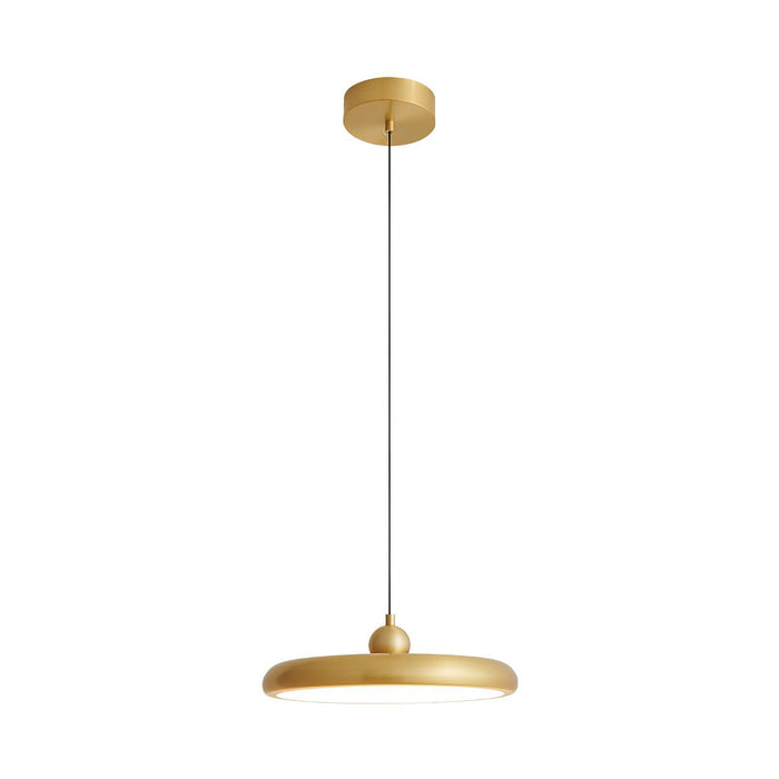 Thin Disc Pendant Lamp-DWHOME