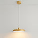 Thin Disc Pendant Lamp-DWHOME