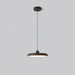 Thin Disc Pendant Lamp-DWHOME
