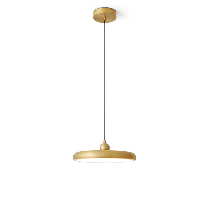 Thin Disc Pendant Lamp-DWHOME