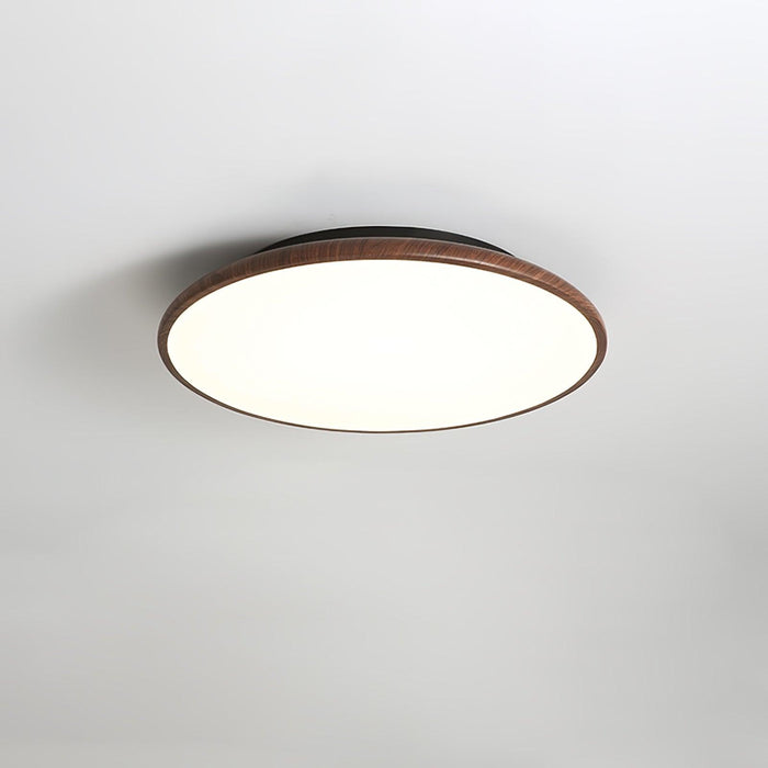 Thin Geometry Shape Ceiling Lamp-DWHOME