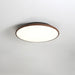 Thin Geometry Shape Ceiling Lamp-DWHOME
