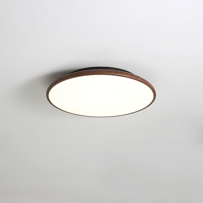 Thin Geometry Shape Ceiling Lamp-DWHOME