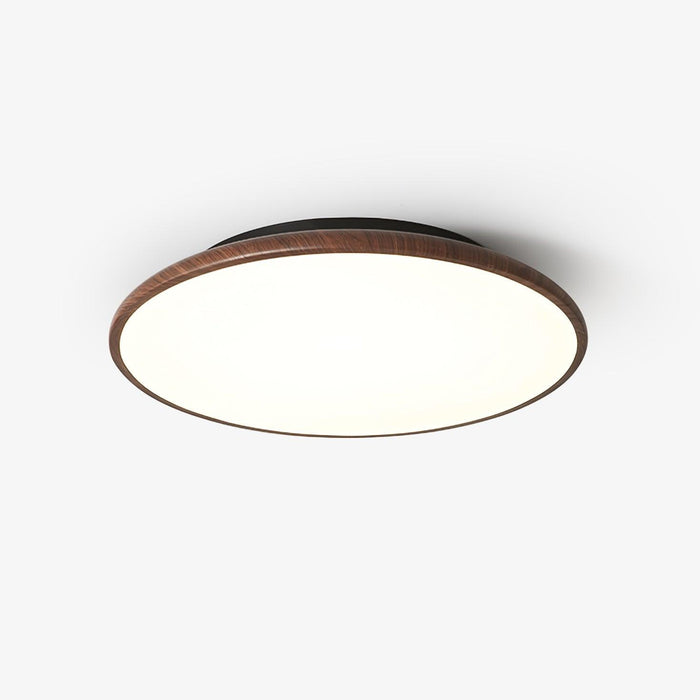 Thin Geometry Shape Ceiling Lamp-DWHOME