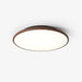 Thin Geometry Shape Ceiling Lamp-DWHOME