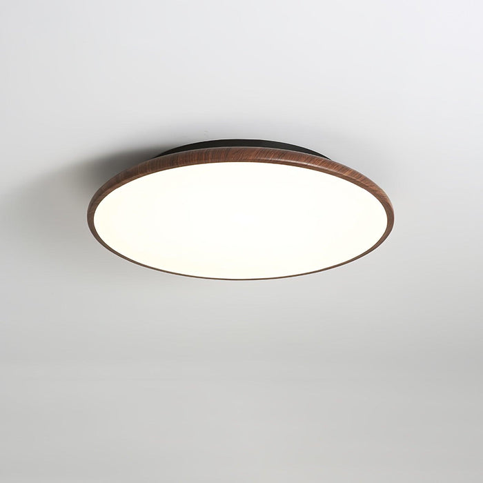 Thin Geometry Shape Ceiling Lamp-DWHOME