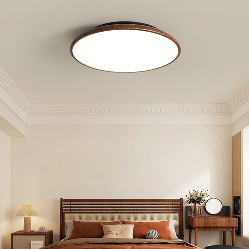 Thin Geometry Shape Ceiling Lamp-DWHOME