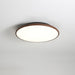 Thin Geometry Shape Ceiling Lamp-DWHOME
