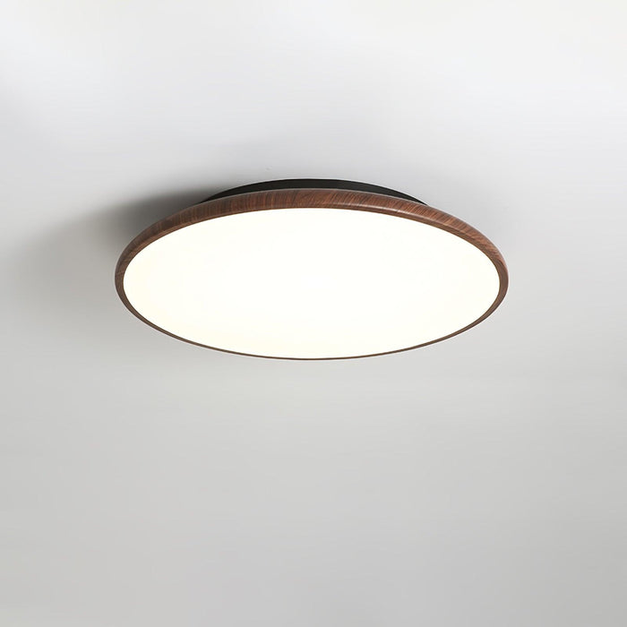 Thin Geometry Shape Ceiling Lamp-DWHOME