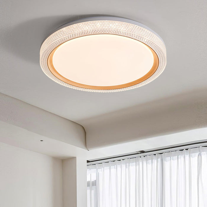 Thin Round Ceiling Lamp-DWHOME