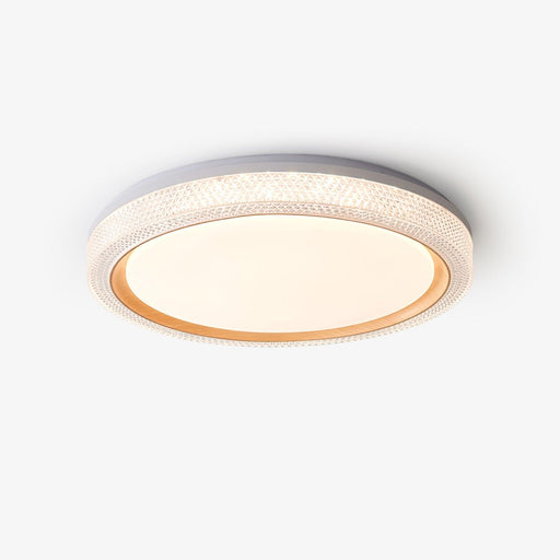 Thin Round Ceiling Lamp-DWHOME