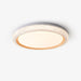 Thin Round Ceiling Lamp-DWHOME
