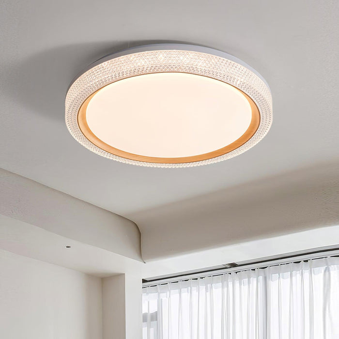Thin Round Ceiling Lamp-DWHOME