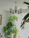Tina Wooden Chandelier-DWHOME