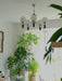 Tina Wooden Chandelier-DWHOME