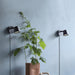 Tip Plug-In Wall Lamp-DWHOME
