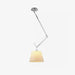 Plafonnier pivotant DWHOME