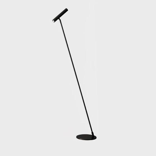 Tom LED Floor Lamp-DWHOME