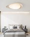 Tonia Ceiling Lamp-DWHOME