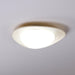Tonia Ceiling Lamp-DWHOME