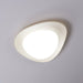 Tonia Ceiling Lamp-DWHOME