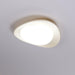 Tonia Ceiling Lamp-DWHOME