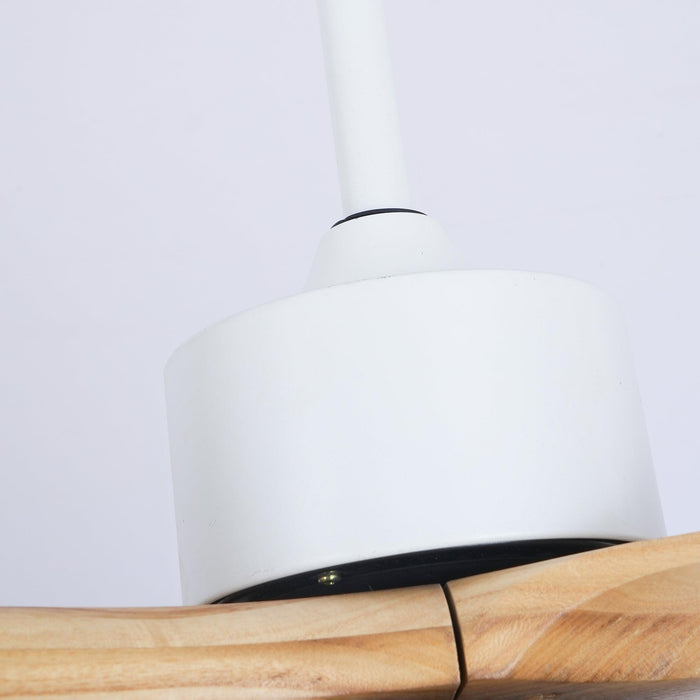 Harborough 3 Ceiling Fan Light - DWHOME