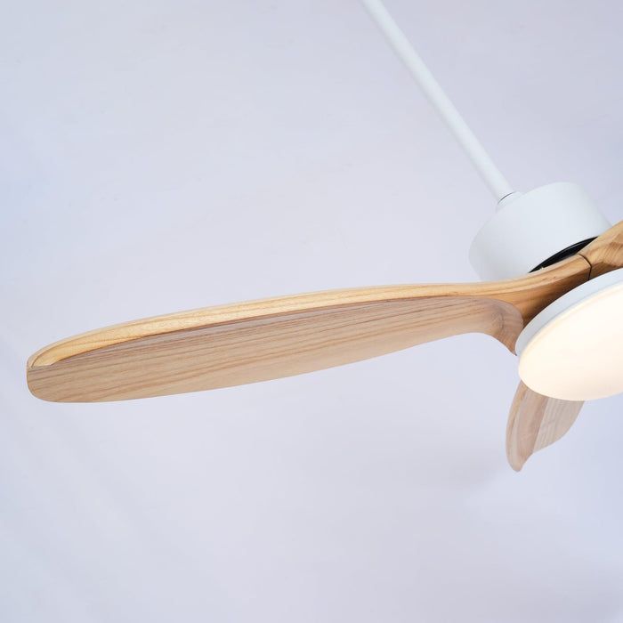 Harborough 3 Ceiling Fan Light - DWHOME
