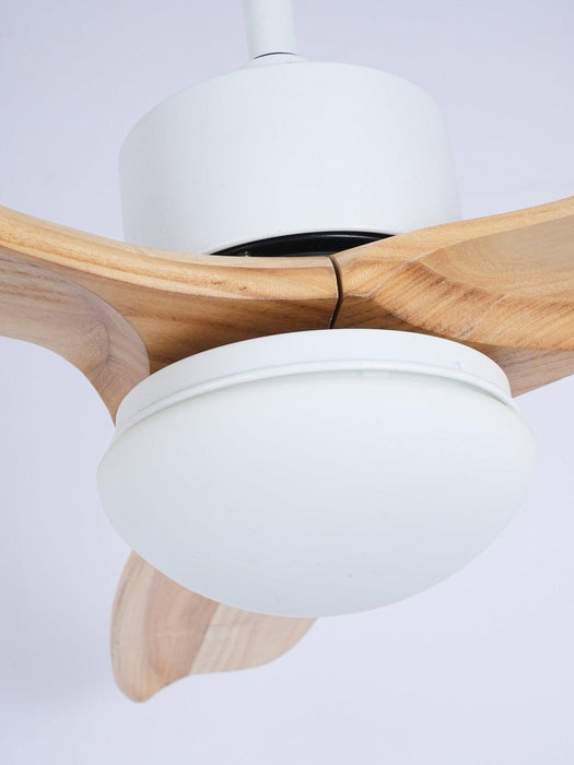 Harborough 3 Ceiling Fan Light - DWHOME