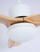 Harborough 3 Ceiling Fan Light - DWHOME