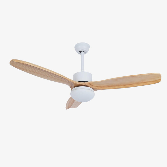 Harborough 3 Ceiling Fan Light - DWHOME