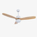Harborough 3 Ceiling Fan Light - DWHOME