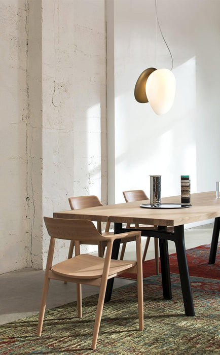 Translucent Frosted Glass Pendant Light-DWHOME