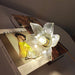 Transparent Crystal Pendant Light-DWHOME