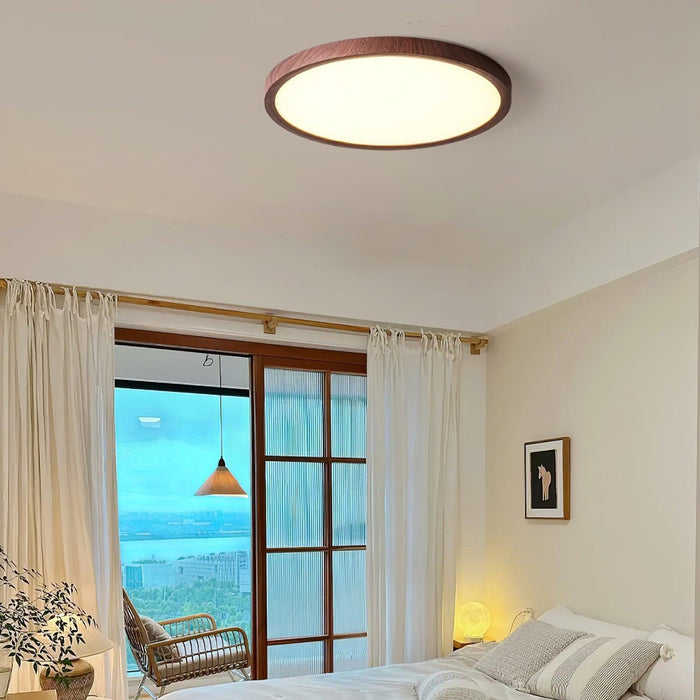 Ultrathin Round Ceiling Light-DWHOME