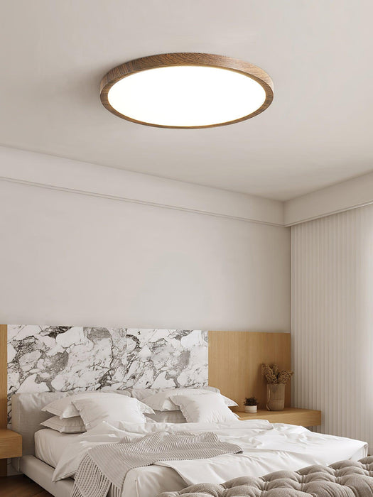 Ultrathin Round Ceiling Light-DWHOME