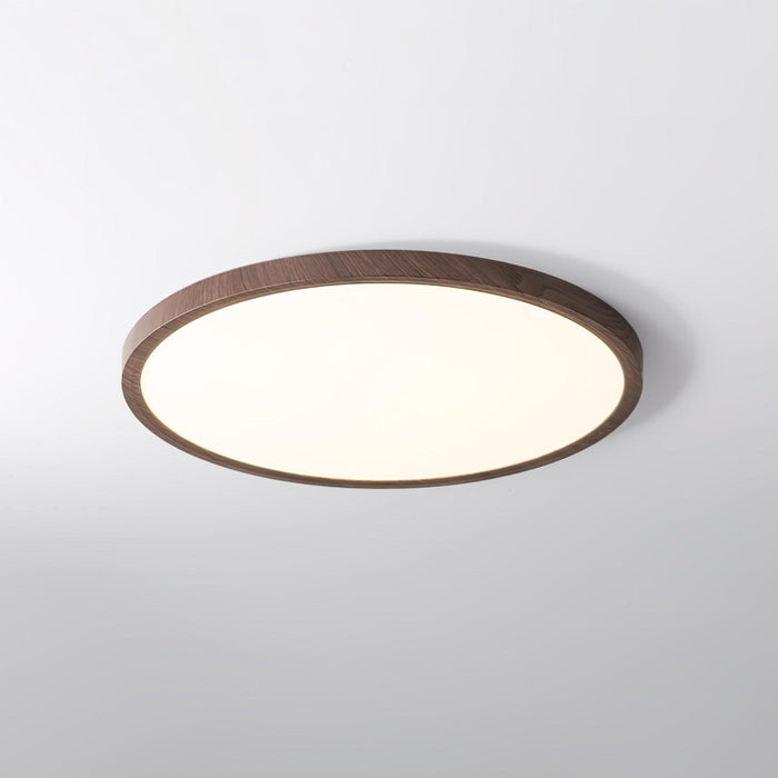 Ultrathin Round Ceiling Light-DWHOME