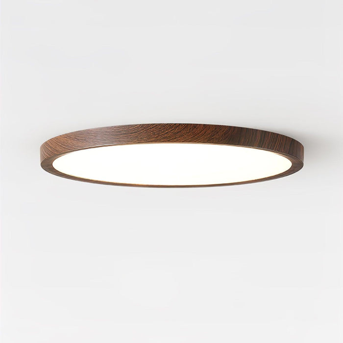 Ultrathin Round Ceiling Light-DWHOME
