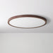 Ultrathin Round Ceiling Light-DWHOME