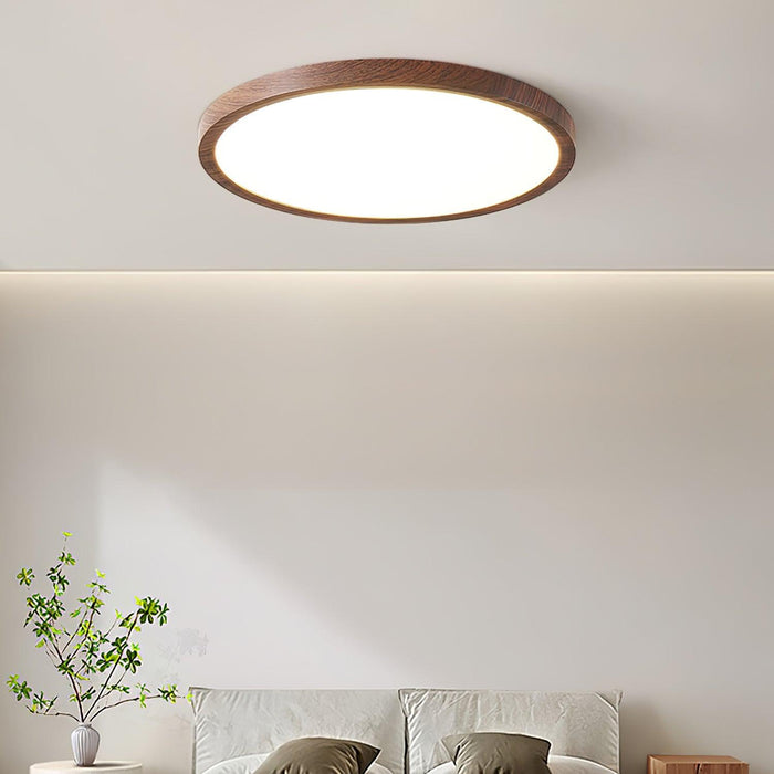 Ultrathin Round Ceiling Light-DWHOME