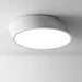 VILHELMINA Inclined Elliptical Ceiling Light - DWHOME