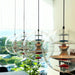 Round Sphere Pendant Lamp-DWHOME