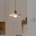 Valencia Pendant Light - DWHOME