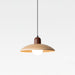 Valencia Pendant Light - DWHOME