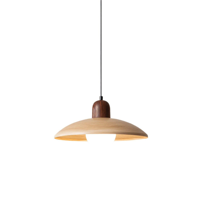 Valencia Pendant Light - DWHOME