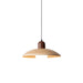 Valencia Pendant Light - DWHOME
