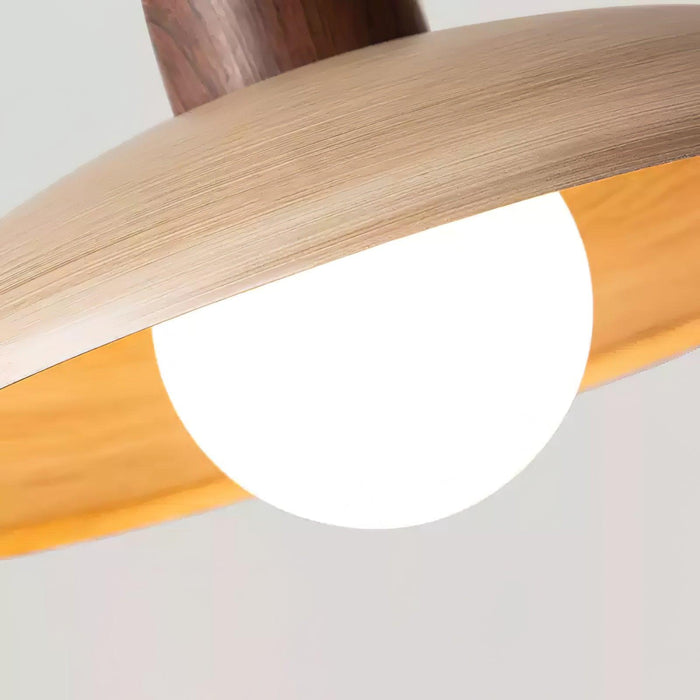 Valencia Pendant Light - DWHOME