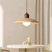 Valencia Pendant Light - DWHOME