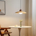Valencia Pendant Light - DWHOME