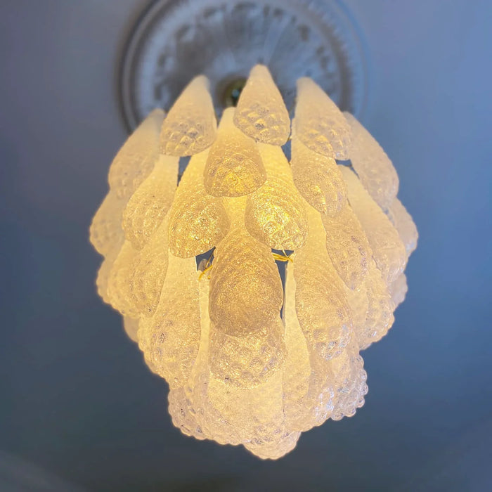 Vintage Murano Transparent Glass Petals Chandelier-DWHOME